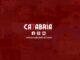 Calabria7 rinasce nuova grafica nuovo logo nuova missione. Libero indipendente intransigente il giornale riparte sotto la guida di Mimmo Famularo
