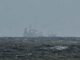 Collisione nel Mare del Nord allarme esperti Disastro ambientale immediato