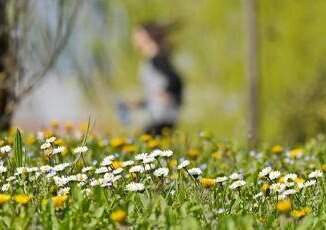 Da allergie a sonno cattivo ecco gli acciacchi di primavera e come affrontarli