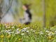 Da allergie a sonno cattivo ecco gli acciacchi di primavera e come affrontarli