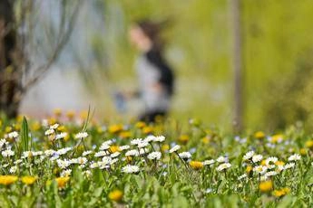 Da allergie a sonno cattivo, ecco gli ‘acciacchi’ di primavera e come affrontarli