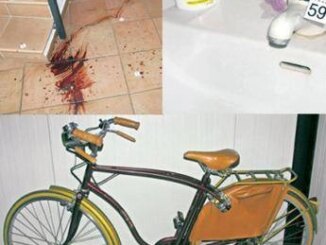 Delitto di Garlasco dallorario della morte al numero di scarpe nulla porta a Sempio