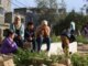 Gaza Hamas accusa raid su tenda di sfollati morti 5 bimbi. Sirene suonano in Israele