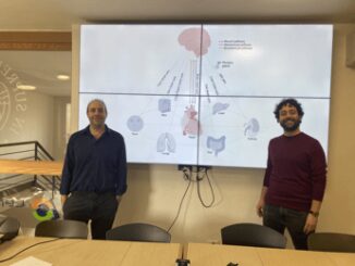 Il mistero della connessione cuore cervello indagato a Pisa