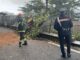 Maltempo Roma albero cade a Rocca di Papa niente feriti ma danni a auto