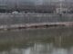 Maltempo allerta a Roma per rischio piena Tevere chiuse banchine a rischio lavori in corso
