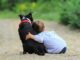 Non diamo la colpa ai cani pediatri e veterinari per convivenza sicura con bimbi