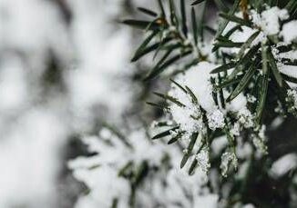 Temperature giu di 10 gradi colpo di coda dellinverno sullItalia