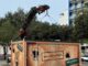 Una gigantesca Mistery Box in centro a Lecce cattura lattenzione dei passanti