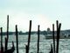 Venezia barca centra una briccola in laguna morta una donna
