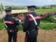 carabinieri domusnovas reati ambientali ridim 150x150 qj9CGd