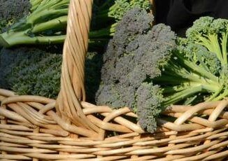 Broccoli superfood anti aging limmunologo nutrizionista Non puo mancare 2 volte a settimana sorprendente e salutare