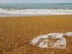 Indagine Beach Litter peggiorato il grado di pulizia delle spiagge