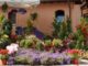Roma torna Floracult la fiera sempre piu ricca di fiori ed eventi alla 14esima edizione