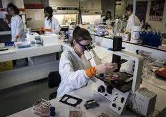Tumori della testa e collo, studio 'con pembrolizumab -27% rischio recidiva o morte' 4 Tumori della testa e collo studio con pembrolizumab 27 rischio recidiva o morte