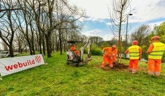 A Milano oltre 730 alberi messi a dimora nei parchi colpiti dal nubifragio del 2023