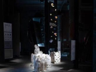 Alla Biennale Architettura 'Sea Oasis', il mare diventa creatività 1 Alla Biennale Architettura Sea Oasis il mare diventa creativita