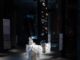 Alla Biennale Architettura Sea Oasis il mare diventa creativita