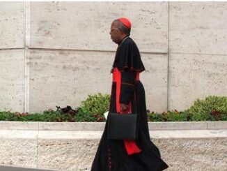 Conclave 2025 il cardinale escluso Non mi hanno invitato