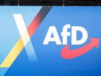 Germania intelligence AfD partito estremista di destra