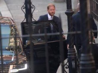 Harry non e una vittima ma un ricco che si lamenta la stoccata del Guardian