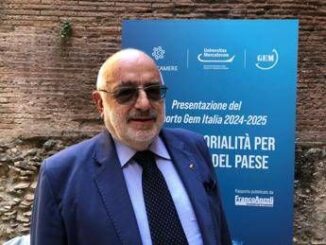 Imprese Cannata UniMercatorum Ruolo nella creazione Rapporto Gem Italia
