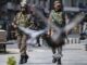 India Pakistan notte di scontri al confine. Nuova Delhi Uccisi 13 civili