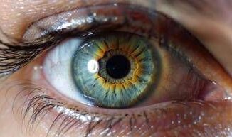 Medicina in Abruzzo prima terapia genica per la maculopatia