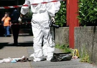 Pavia ucciso a coltellate nel cortile di casa arrestato 25enne