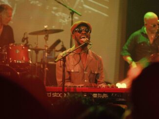 Stevie Wonder live