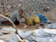 Gaza almeno 21 morti oggi. Qatar vede finestra di opportunita per tregua