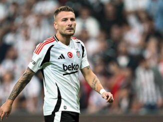 Immobile ritorno in Serie A Il Bologna prova il colpo in attacco