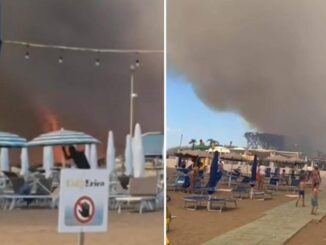 Incendio in pineta fiamme lambiscono le spiagge di Baia Domizia bagnanti in fuga Video