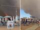 Incendio in pineta fiamme lambiscono le spiagge di Baia Domizia bagnanti in fuga Video