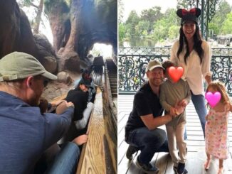 Meghan Harry e le foto con i figli a Disneyland e polemica