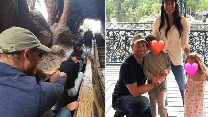 Meghan, Harry e le foto con i figli a Disneyland: è polemica