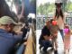 Meghan Harry e le foto con i figli a Disneyland e polemica