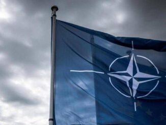 Nato che cose larticolo 5 citato da Trump
