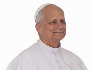 Papa Leone XIV al Tg1 Mettiamoci insieme per cercare una soluzione alla guerra
