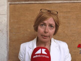 Terenghi Wec Volatilita dei prezzi dellenergia e principale preoccupazione