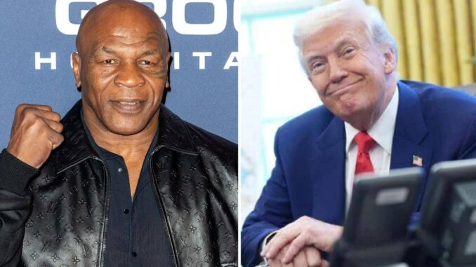 “Trump, cambia la legge sulla cannabis”: la lettera delle star al presidente