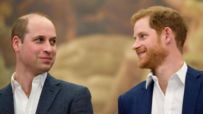 “William e Harry litigavano per le faccende domestiche”: la rivelazione