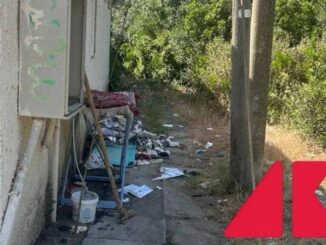 A Ostia spiagge libere senza bagni lallarme degli igienisti. Lordine dei medici Tante segnalazioni anche a noi