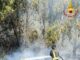 Incendio a Roma ovest rogo di sterpaglie minaccia case e negozi