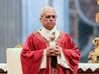 Lappello di Papa Leone XIV La terra sta cadendo in rovina ferite dovute al peccato