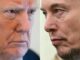 Trump nuovo attacco a Musk Rivedere sussidi alle sue aziende senza tornerebbe in Sudafrica