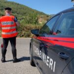 Desulo, 30 kg di marijuana nascosti in garage: arrestato un 30enne